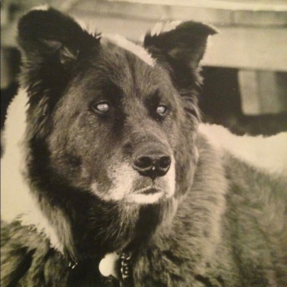 Meet your Posher, Jan - Picture 2 of 5